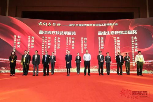 華鑫證券榮獲2018中國證券期貨業 最佳醫療扶貧項目獎